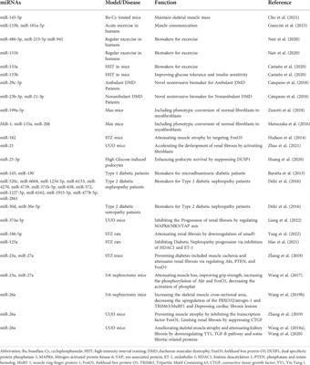 Role of exosomes and exosomal microRNA in muscle–Kidney crosstalk in chronic kidney disease